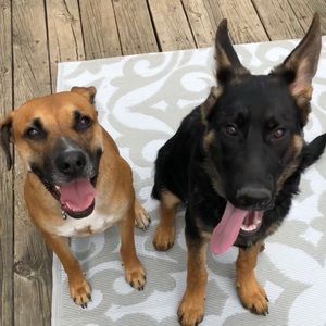 Meet your Posher, Brittanie